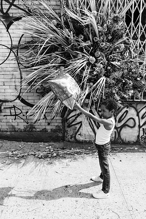 Fathers in Flora (85 of 249)