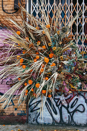 Fathers in Flora (89 of 249)