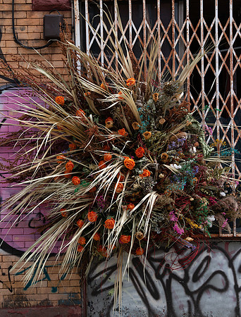 Fathers in Flora (91 of 249)