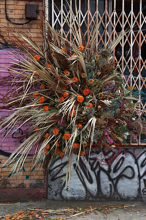 Fathers in Flora (90 of 249)